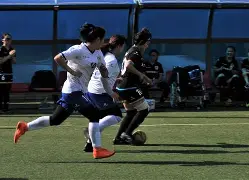 ayx.com-顶尖球队在比拼中展现出非凡实力(顶尖球队在比拼中展现出非凡实力的例子)  第1张